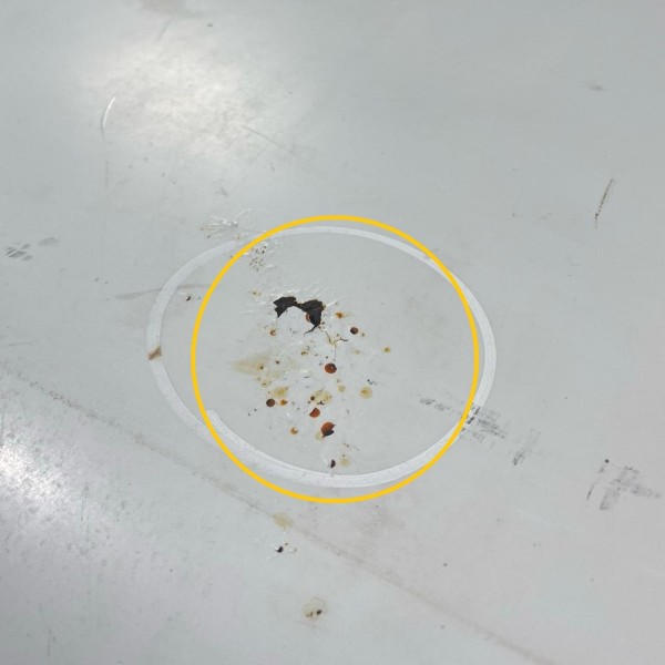 Capo Branco Kia Sportage 2.0 1998 1999 2000 A 2003